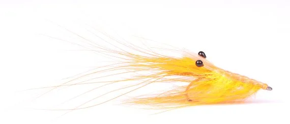 sportfishtackle202606040151132586493