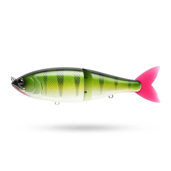 sportfishtackle202606040151562586674