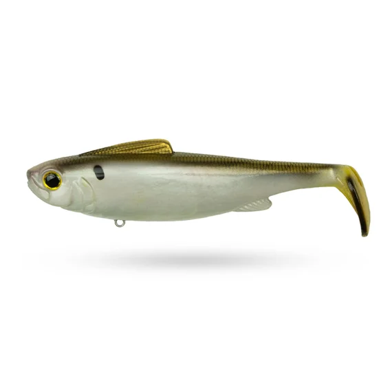 sportfishtackle202606040202522589488