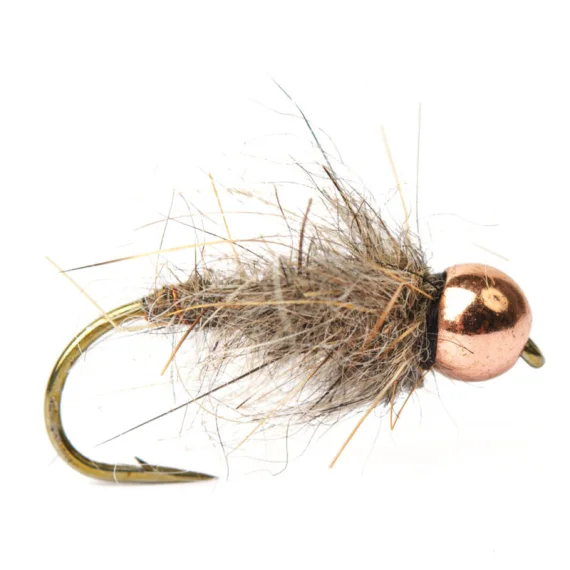 sportfishtackle202606040204542590012