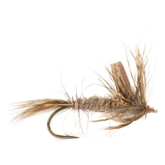 sportfishtackle202606040204582590029