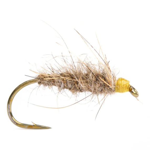 sportfishtackle202606040205132590093