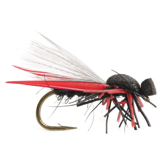 sportfishtackle202606040205542590274