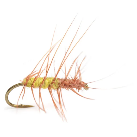 sportfishtackle202606040206162590372