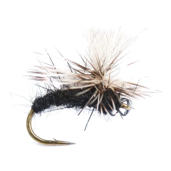 sportfishtackle202606040206242590405