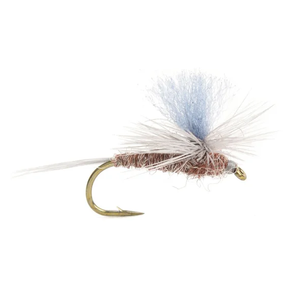 sportfishtackle202606040207112590598