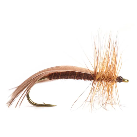 sportfishtackle202606040207182590632