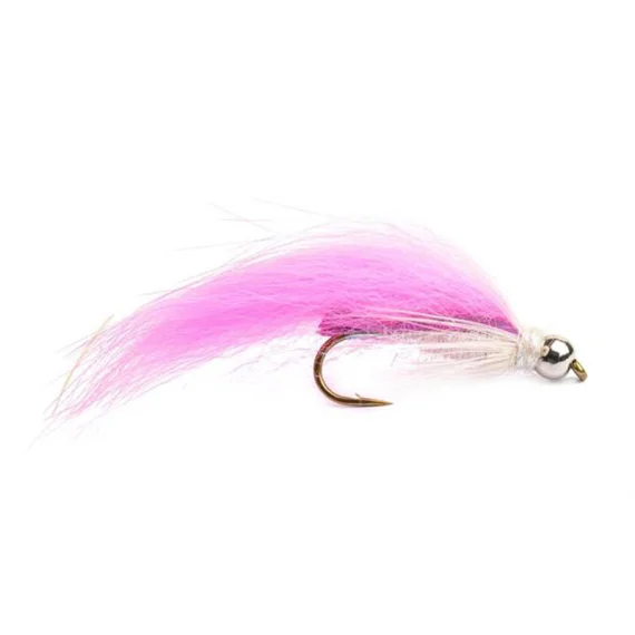 sportfishtackle202606040207492590760