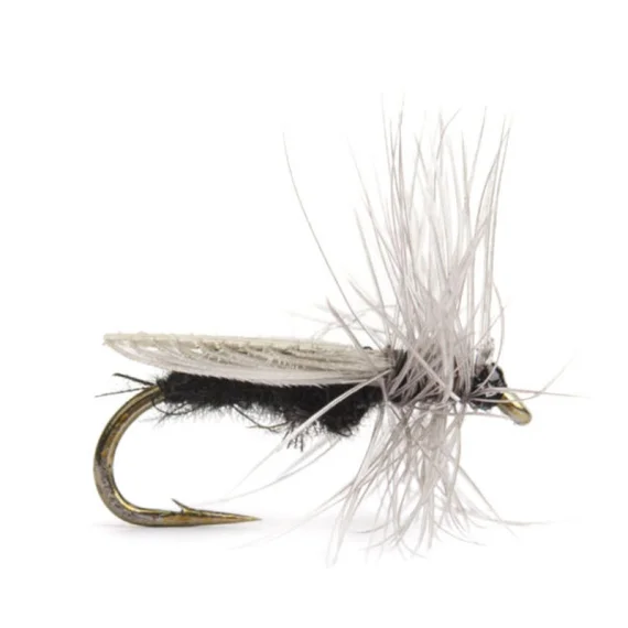 sportfishtackle202606040208042590820