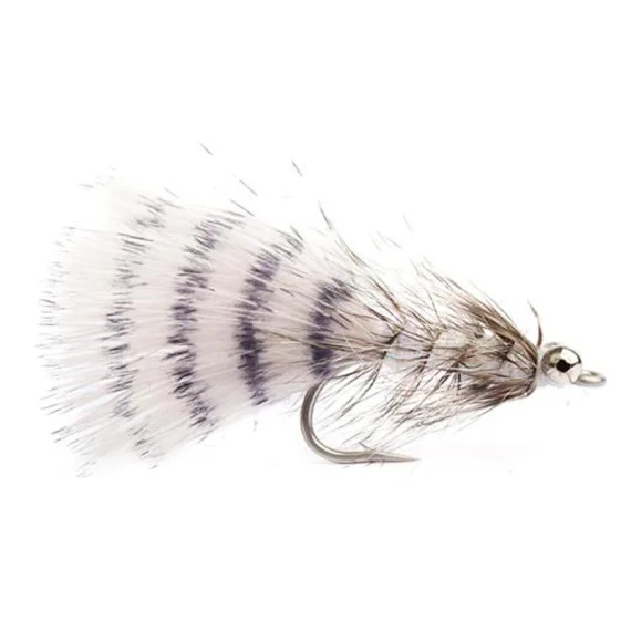 sportfishtackle202606040208582591050