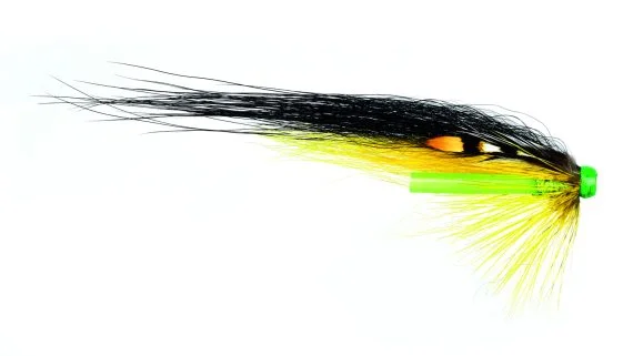 sportfishtackle202606040210342591462