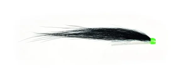 sportfishtackle202606040210362591473