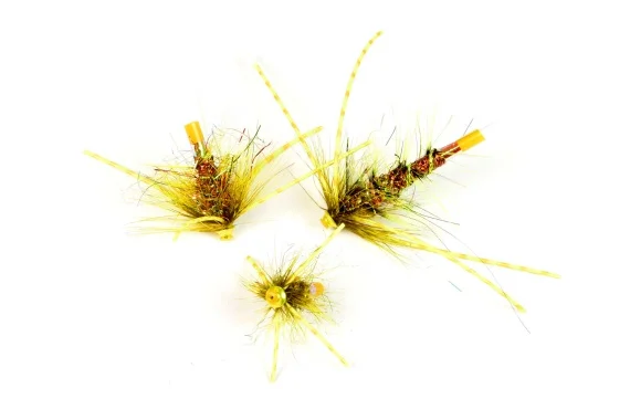 sportfishtackle202606040238032598439