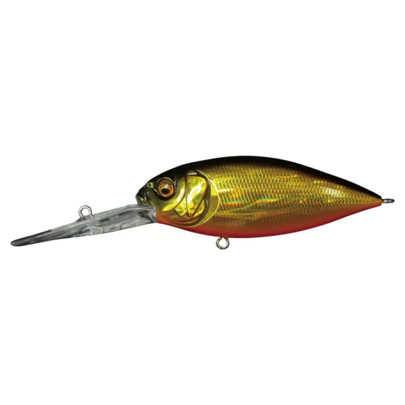 sportfishtackle202606040252142602141