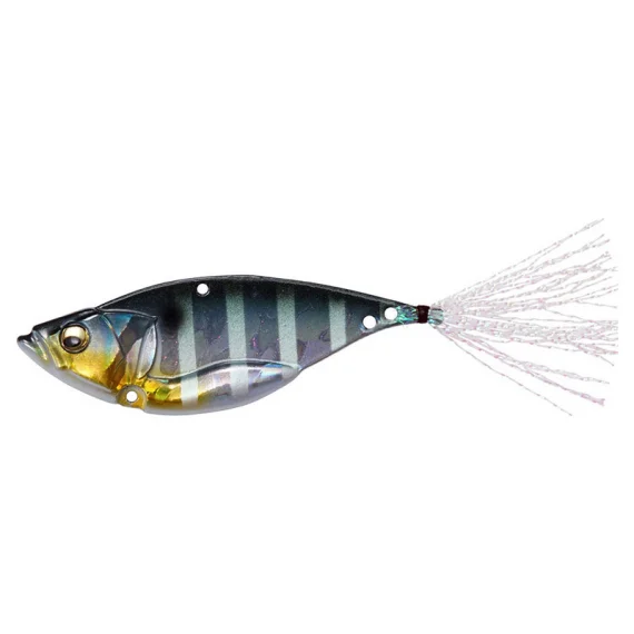 sportfishtackle202606040254432602770