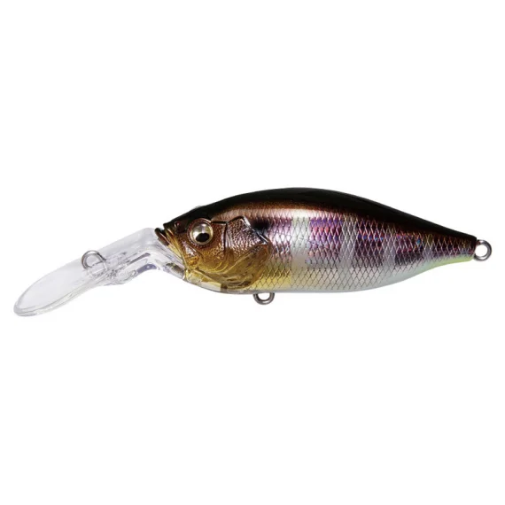 sportfishtackle202606040254472602783