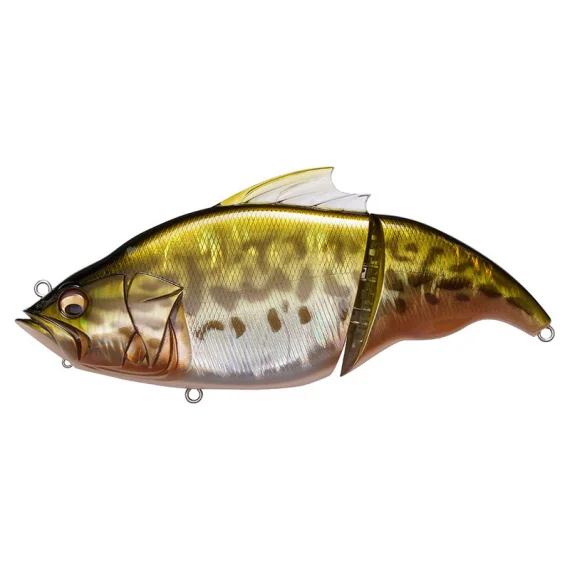 sportfishtackle202606040255032602828