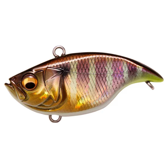 sportfishtackle202606040255142602862