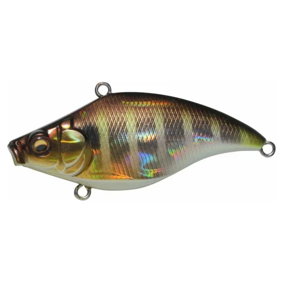 sportfishtackle202606040255162602867