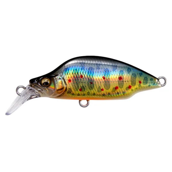 sportfishtackle202606040256132603037