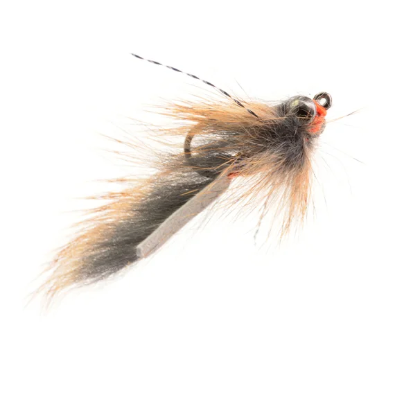sportfishtackle202606040316442606674