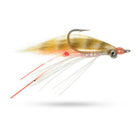 sportfishtackle202606040317262606797