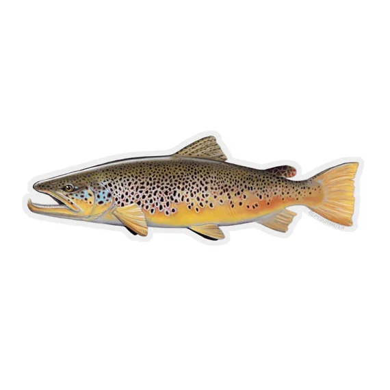 sportfishtackle202606040318532607050