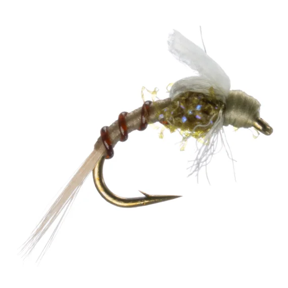 sportfishtackle202606040321132607447
