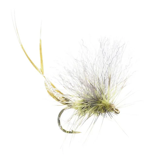 sportfishtackle202606040321432607532