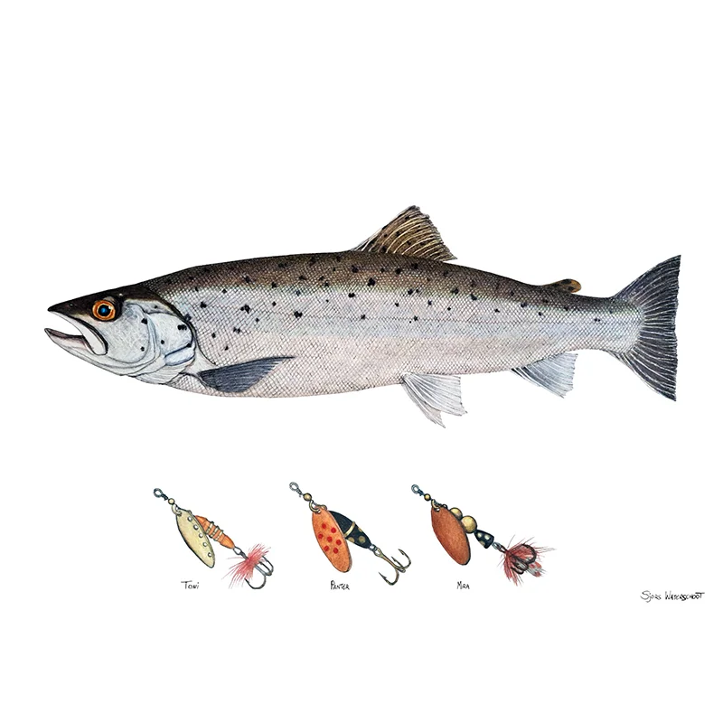 sportfishtackle202606040323292607843