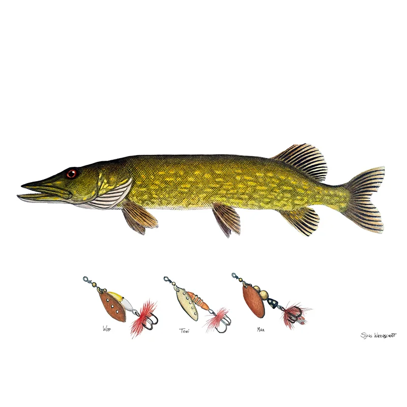 sportfishtackle202606040323302607845