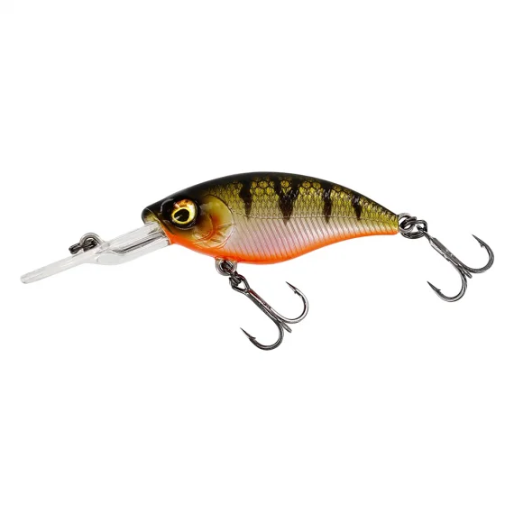 sportfishtackle202606040334002609654