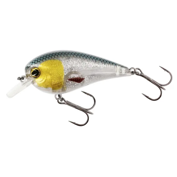 sportfishtackle202606040334082609673