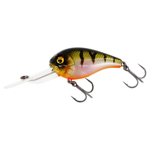 sportfishtackle202606040334122609683