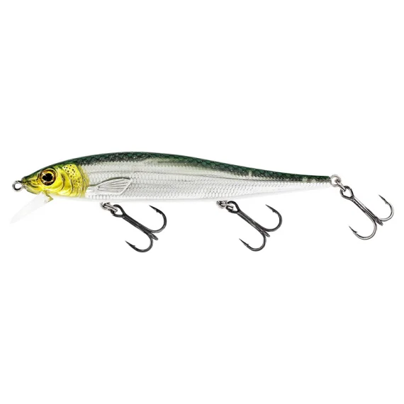 sportfishtackle202606040334342609747