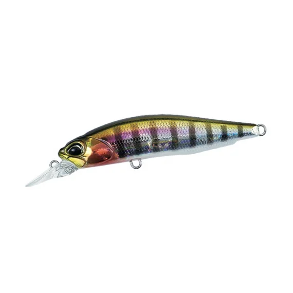 sportfishtackle202606040353452612800