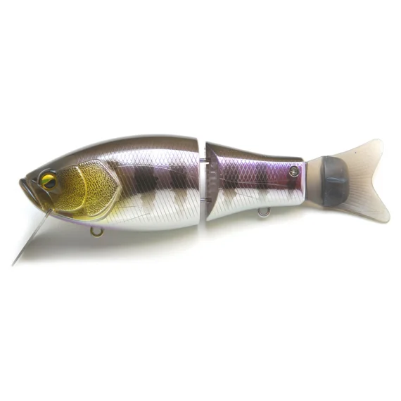 sportfishtackle202606040357292613403