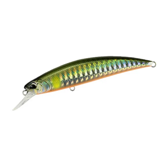 sportfishtackle202606040427402618321