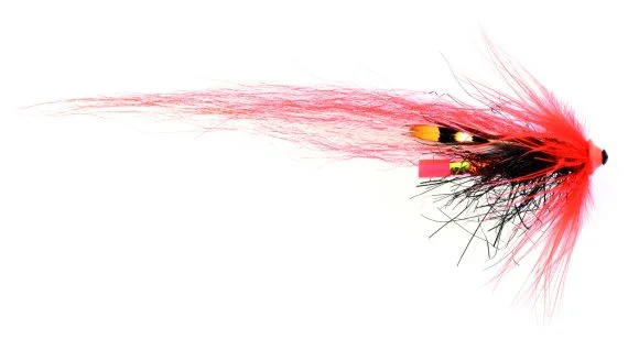 sportfishtackle202606040428472618494