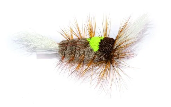 sportfishtackle202606040453192622400