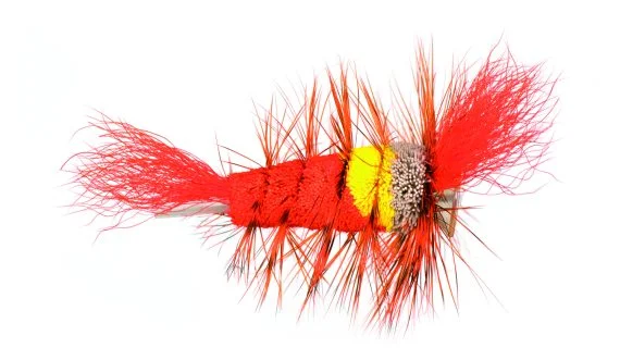 sportfishtackle202606040453232622412