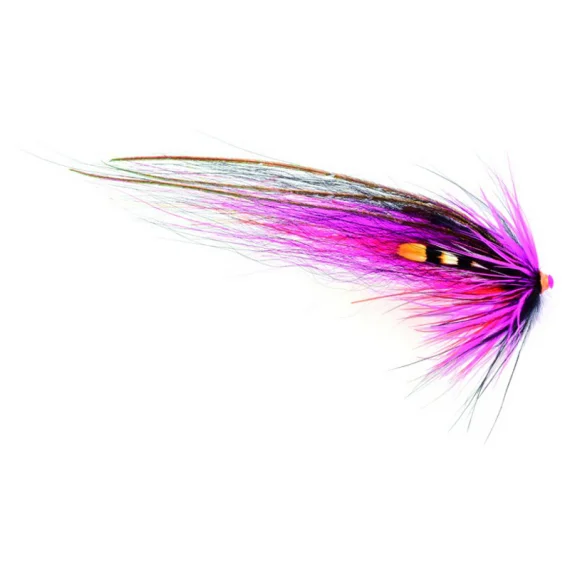 sportfishtackle202606040503302623947