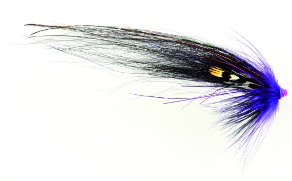 sportfishtackle202606040503382623965