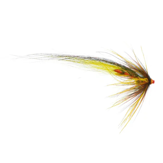 sportfishtackle202606040503572624013