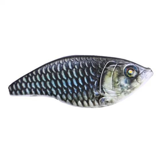 sportfishtackle202606040504322624097