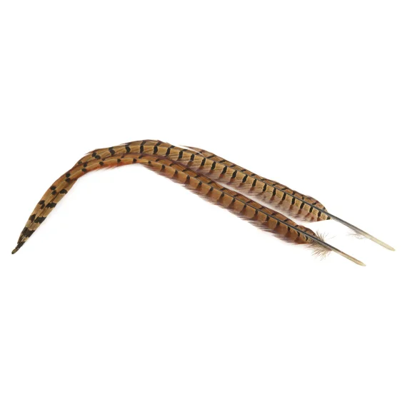 sportfishtackle202606040511062625101