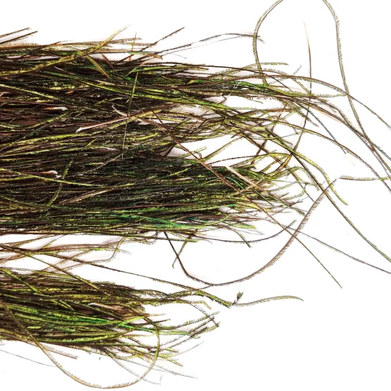 sportfishtackle202606040511092625108