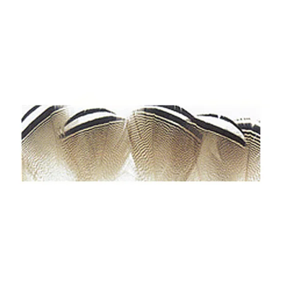 sportfishtackle202606040523292627062