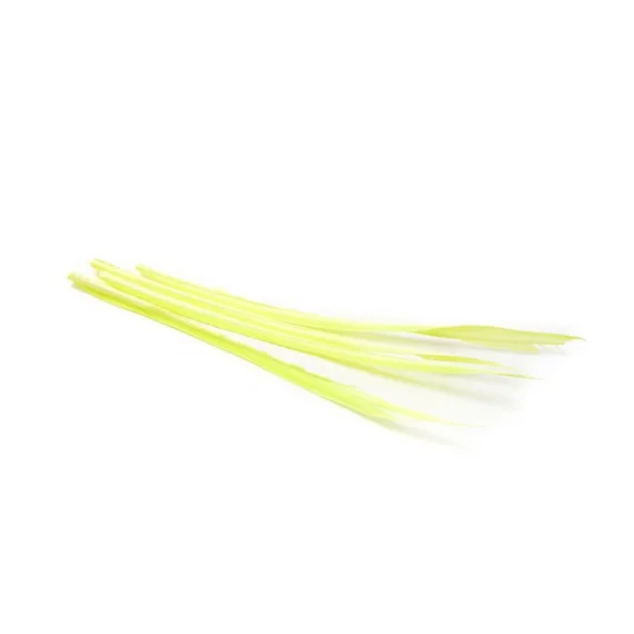 sportfishtackle202606040524452627273