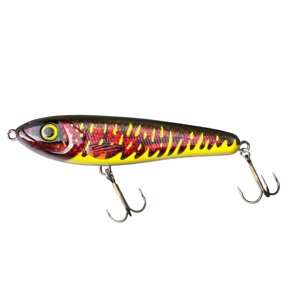 sportfishtackle202606040531542628427